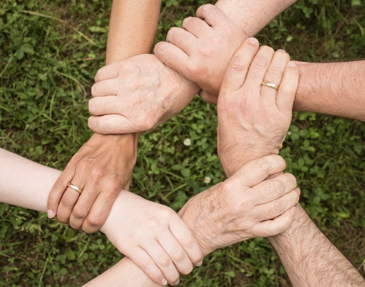 hands