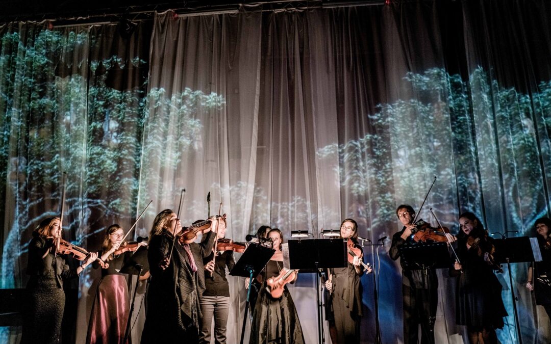 The project “Music on Strings 2025” by Musica ad Hominem
